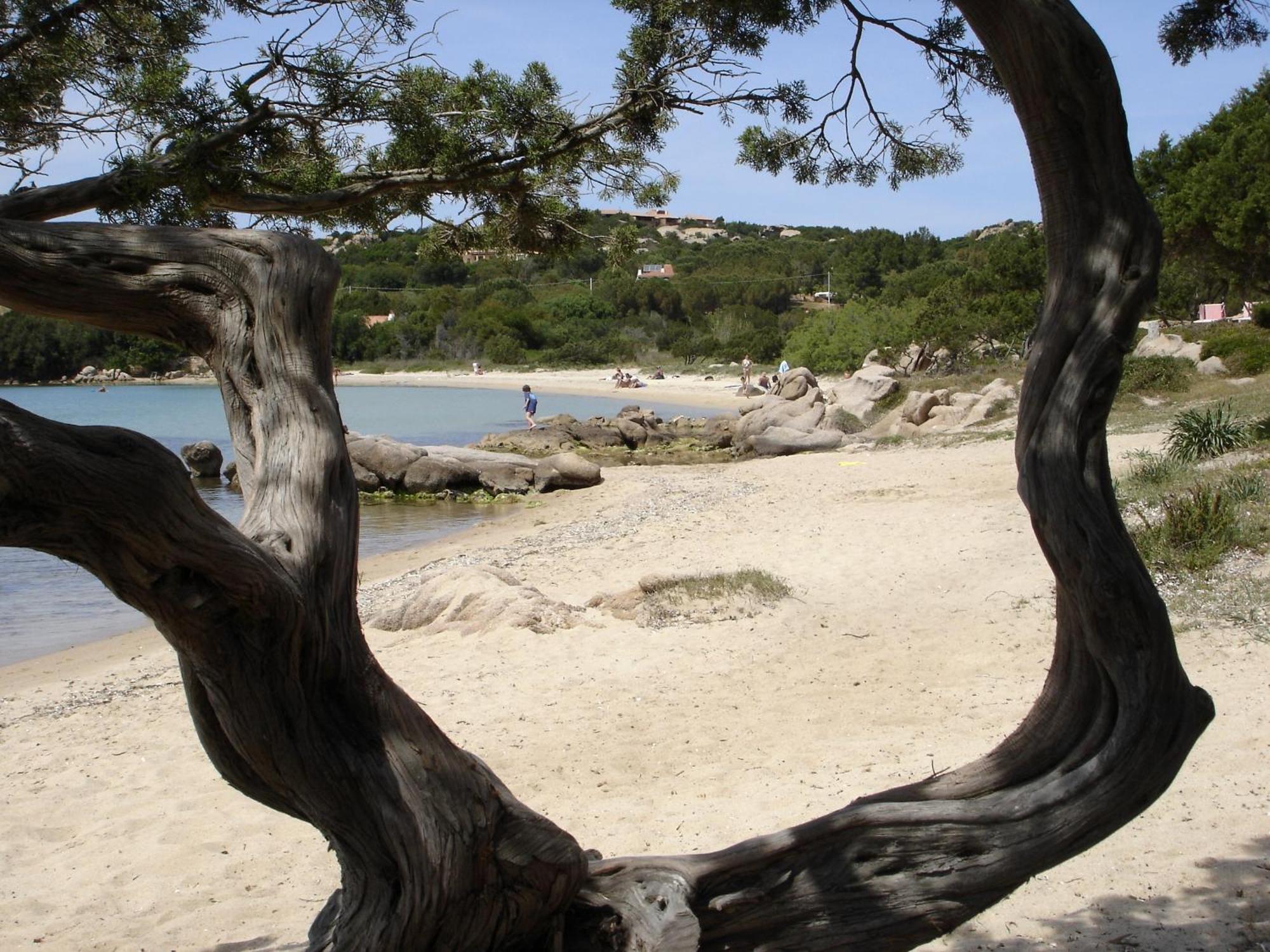 Hotel Villa Gemella Baja Sardinia Ngoại thất bức ảnh